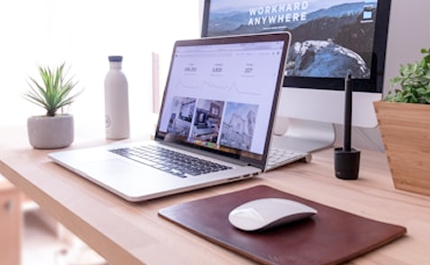 アルマジロスタジオのwebデザイン